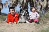 ENFANT ET CHIEN 216